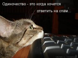 2506_17.jpg